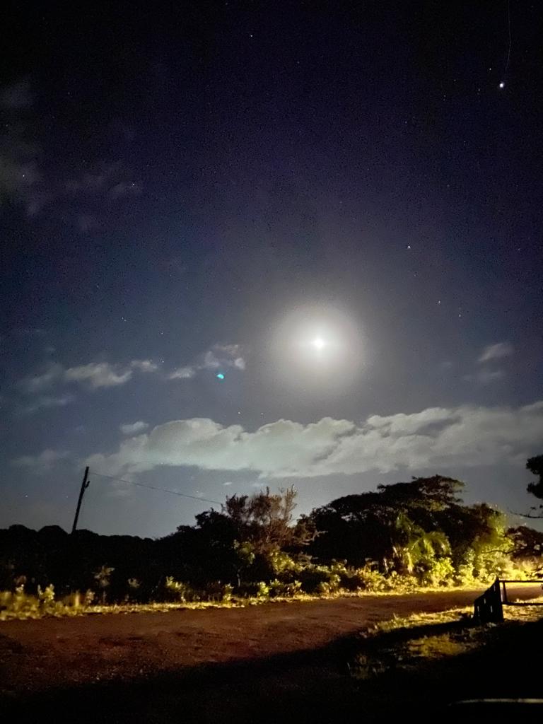 evening wildlife drive in St Lucia