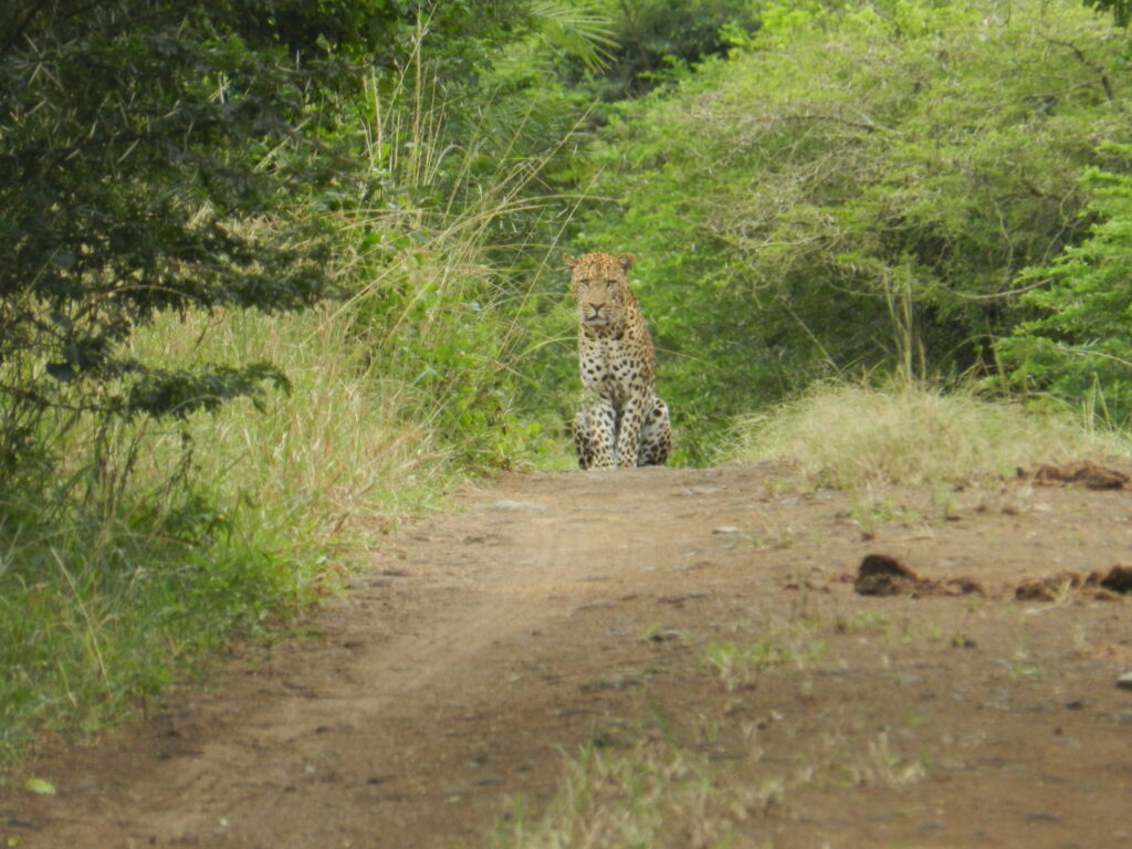 Great sighting on a Shore Excursions or Private Tours